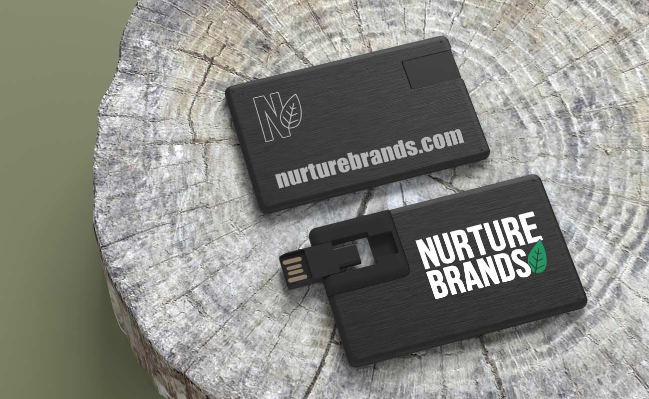 Alloy Duo - Cle USB Carte Credit gallery thumbnail