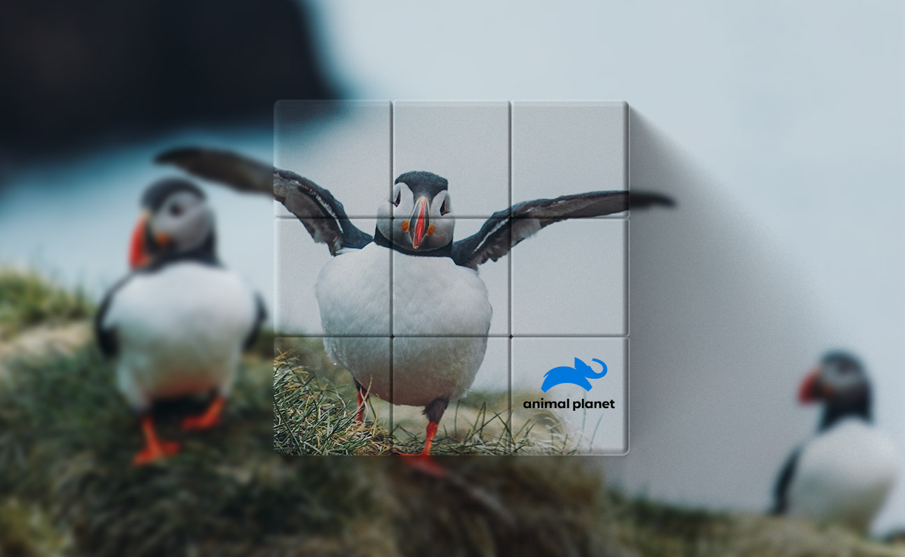 Blox - Cubes Magiques promotionnels avec logo gallery thumbnail