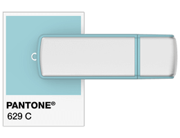 Références Pantone® Clé USB